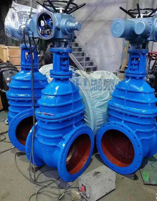 dn300電動(dòng)閘閥